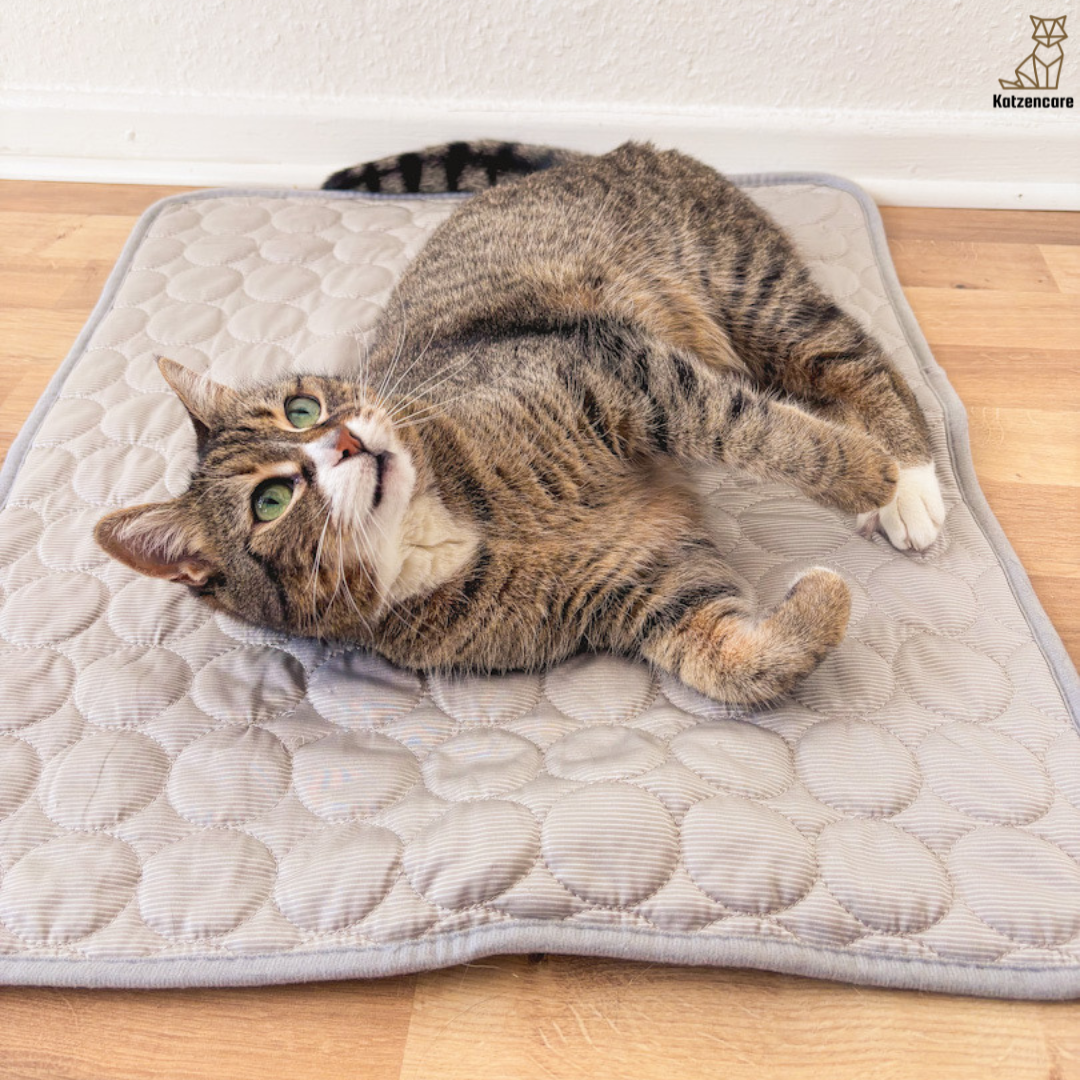 Katzencare - Kühlmatte „Hitzestopp“