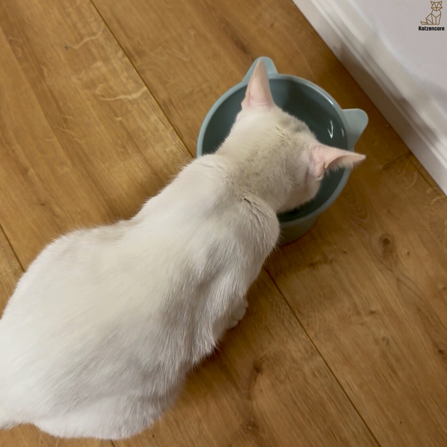 Katzencare - Orthopädischer Futternapf