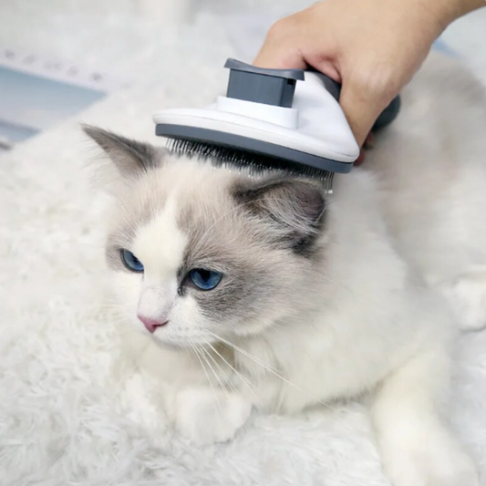 Katzencare - Katzenbürste "Anti Haare"