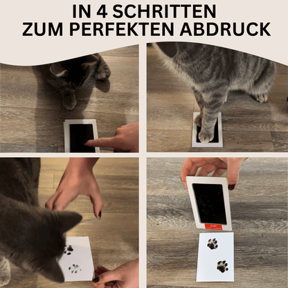 Katzencare - Pfotenabdruckset "Erinnerung"