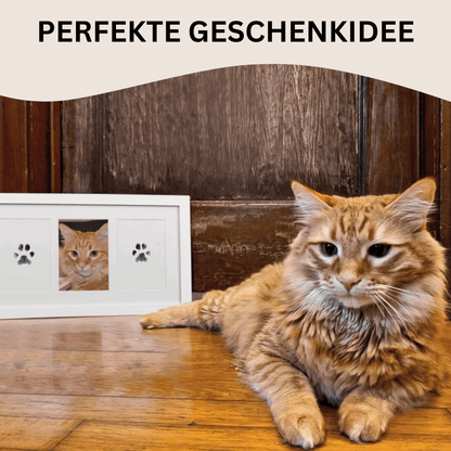 Katzencare - Pfotenabdruckset "Erinnerung"