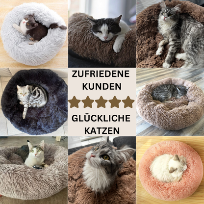 Katzencare - Katzenbett