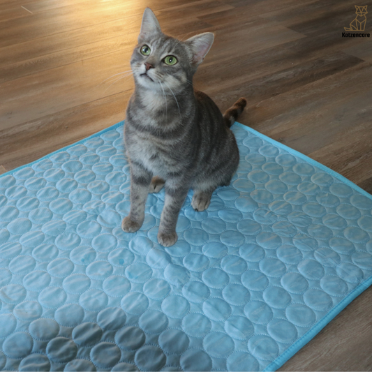 Katzencare -  Kühlmatte „Hitzestopp“