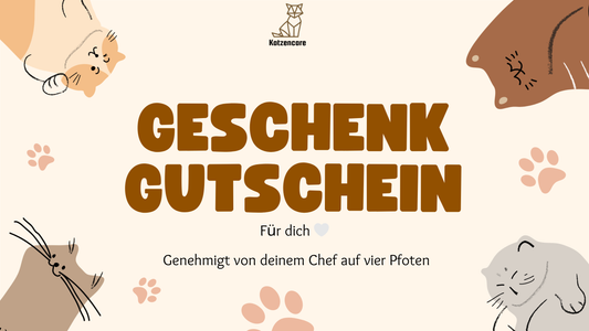 Gutschein für Katzencare