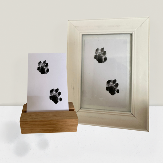 Katzencare - Pfotenabdruckset "Erinnerung"