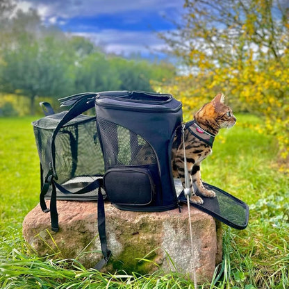 Katzencare - Katzenrucksack "Abenteuer"
