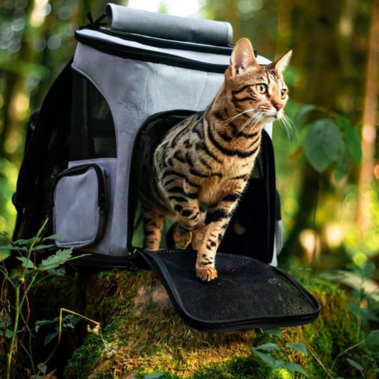 Katzencare - Katzenrucksack "Abenteuer"