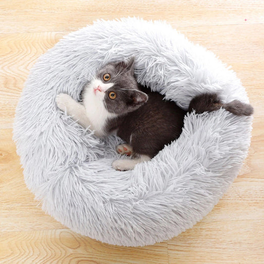 Katzencare - Katzenbett